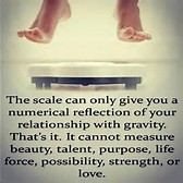 blog scale does not