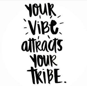 vibe+tribe