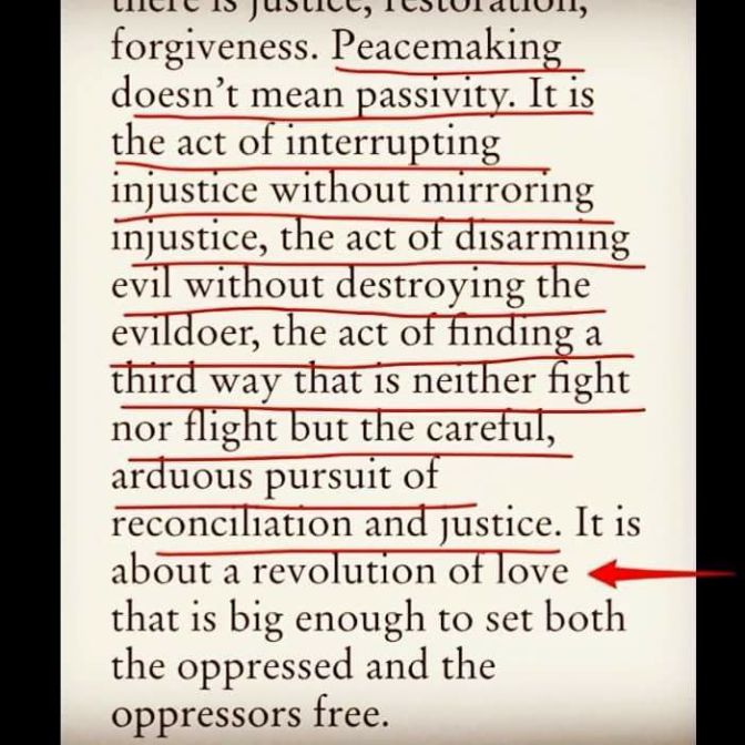 15390730_10209657787632865_5707411583779057810_n