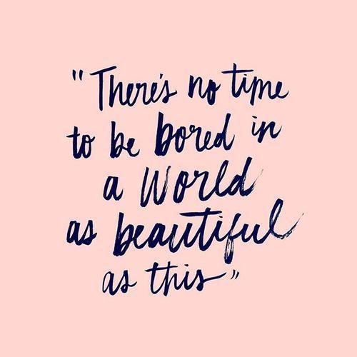 2ca955e4bc0072e92a04605df916ff67