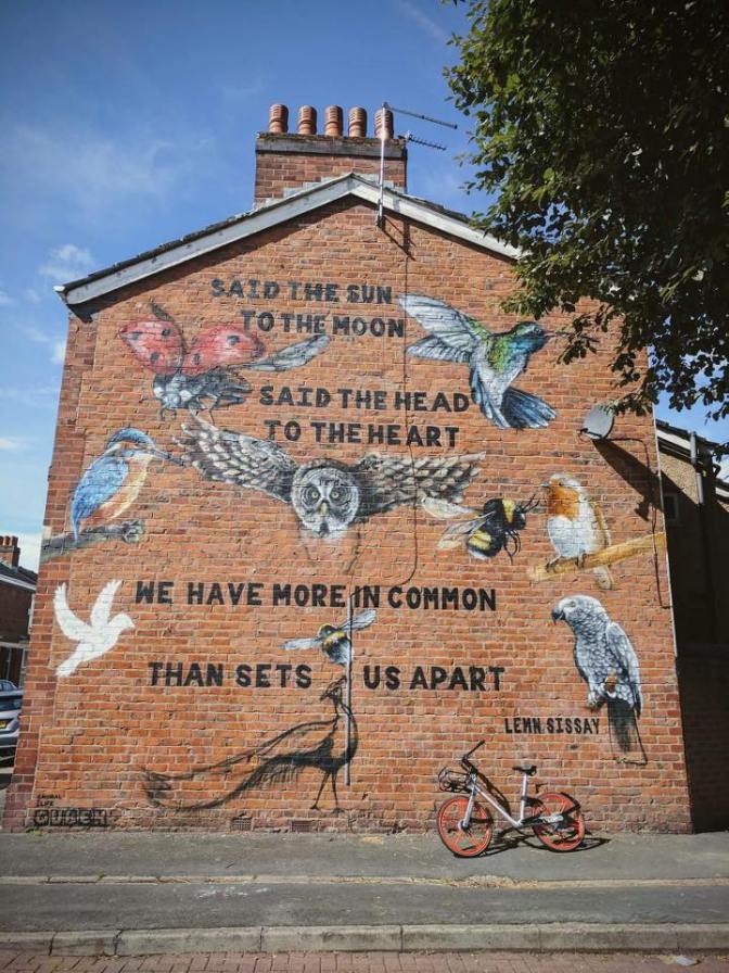 20840675_494995340853190_1573988303361150272_n